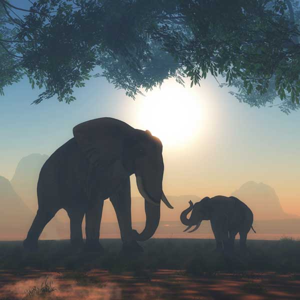 Gajah - Pelangi Nada